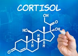 Cortisol hormone stress mehdi bouricha