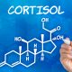 Cortisol hormone stress mehdi bouricha