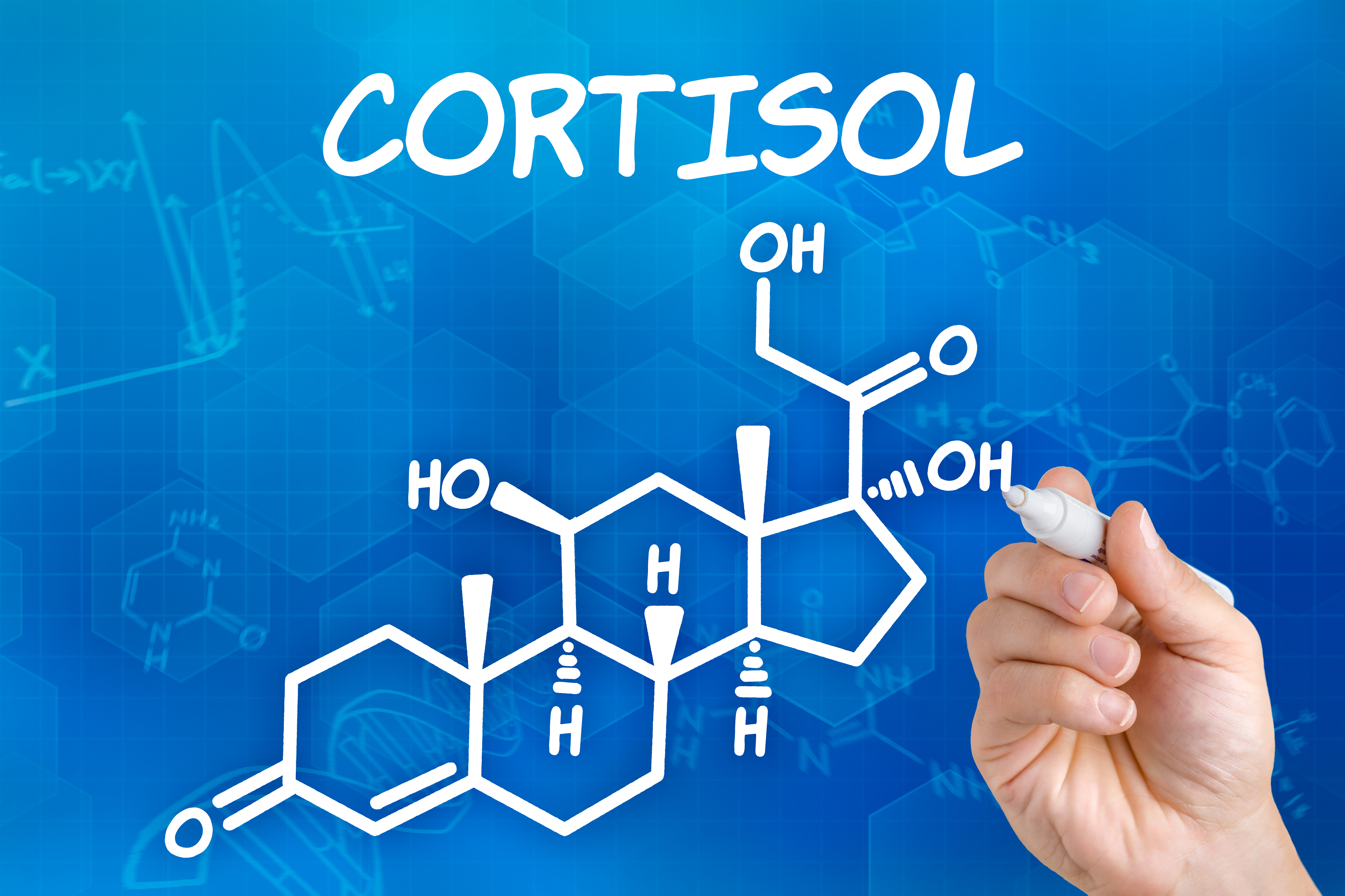 cortisol-hormone-du-stress-une-affaire-de-biologie